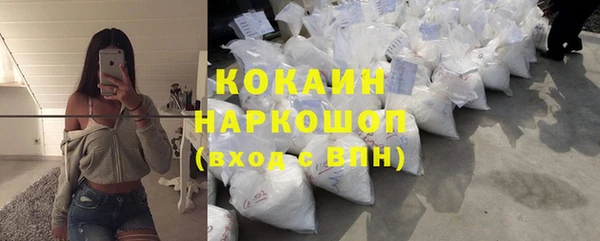 дмт Кедровый