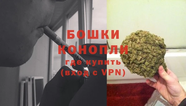 ПСИЛОЦИБИНОВЫЕ ГРИБЫ Мегион